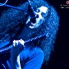 cynic_p2009_27