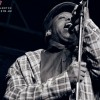 living_colour_p2009_42