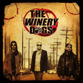 Sorozatban gyártja a klipeket a The Winery Dogs