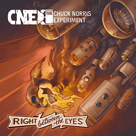 The Chuck Norris Experiment: Right Between The Eyes