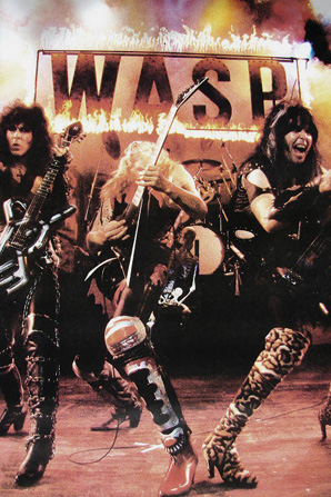 0825wasp8