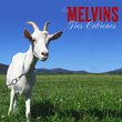 melvins_2013