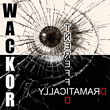 wackor_2013