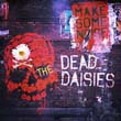 thedeaddaisies__2016