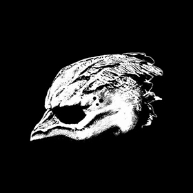 Legend Of The Seagullmen: Legend Of The Seagullmen