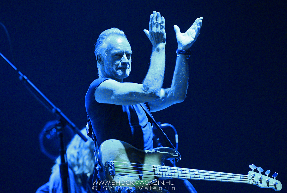 sting_k2019_04