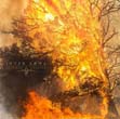 interarma2019_c