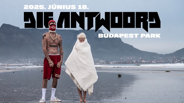Ismét beveszi a Budapest Parkot a Die Antwoord