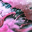 linkinpark_110