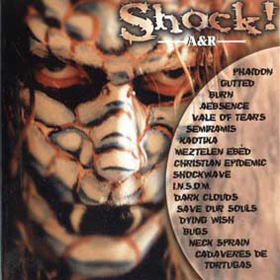 shockarcd1