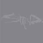Staind: 14 Shades Of Grey