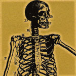 To The Bone: To The Bone