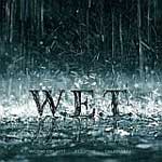 W.E.T.: W.E.T.
