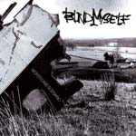 Blind Myself: Worst-Case Scenario