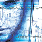 Booboo's Punch: Logic Symmetric