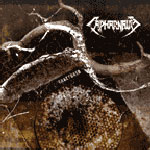 Capharnaum: Fractured