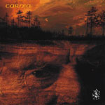 Carnia: Erdő