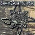 Cadaveres De Tortugas: Salvo Karma
