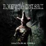 Lion's Share: Emotional Coma