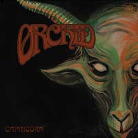 Orchid: Capricorn