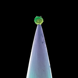 Peter Gabriel újraértelmezte önmagát