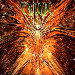 Cynic: Focus