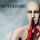 Meshuggah: obZen
